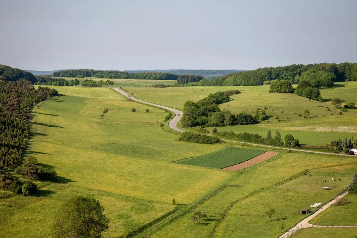 Aerial view of rolling green farmland we buy for cash
